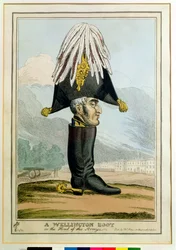 Ein Wellington-Stiefel - oder der Kopf der Armee